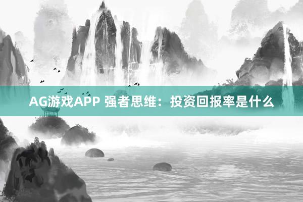 AG游戏APP 强者思维:投资回报率是什么
