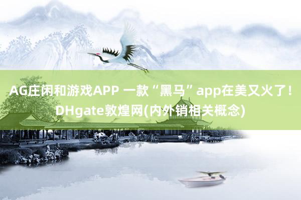 AG庄闲和游戏APP 一款“黑马”app在美又火了!DHgate敦煌网(内外销相关概念)