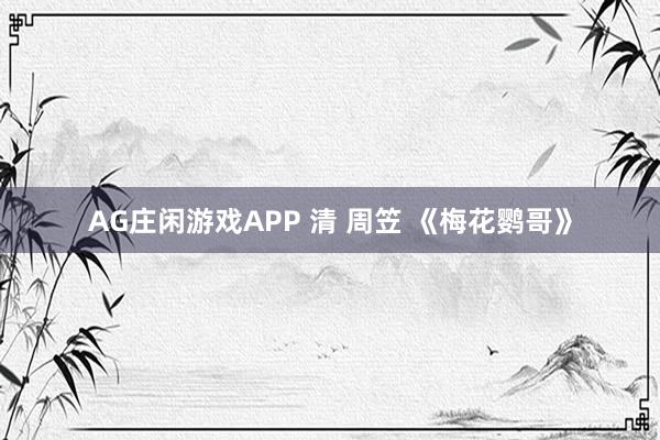 AG庄闲游戏APP 清 周笠 《梅花鹦哥》