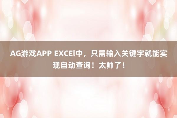 AG游戏APP EXCEl中，只需输入关键字就能实现自动查询！太帅了！