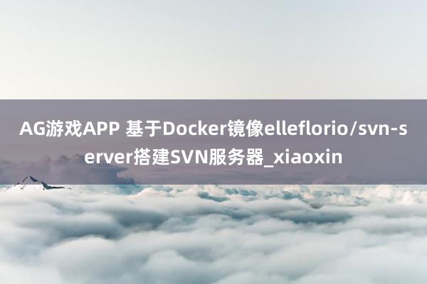 AG游戏APP 基于Docker镜像elleflorio/svn-server搭建SVN服务器_xiaoxin