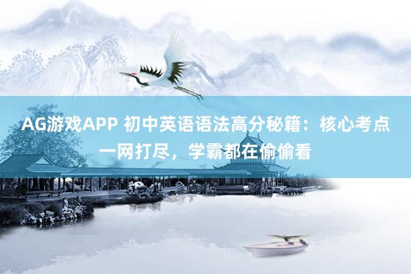 AG游戏APP 初中英语语法高分秘籍：核心考点一网打尽，学霸都在偷偷看
