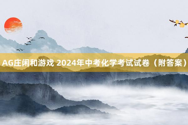 AG庄闲和游戏 2024年中考化学考试试卷（附答案）