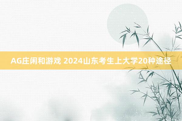 AG庄闲和游戏 2024山东考生上大学20种途径