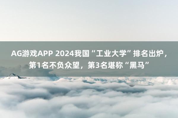 AG游戏APP 2024我国“工业大学”排名出炉，第1名不负众望，第3名堪称“黑马”