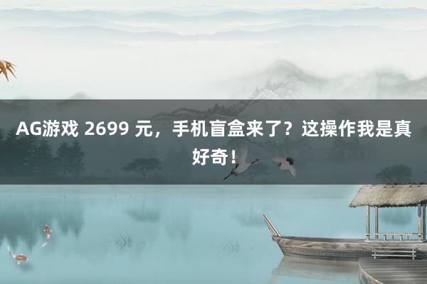 AG游戏 2699 元，手机盲盒来了？这操作我是真好奇！