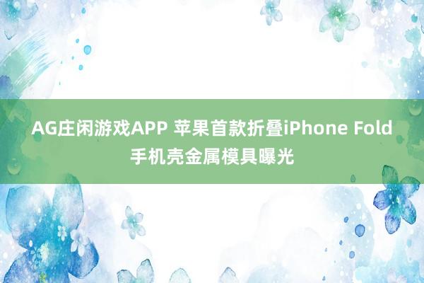 AG庄闲游戏APP 苹果首款折叠iPhone Fold手机壳金属模具曝光