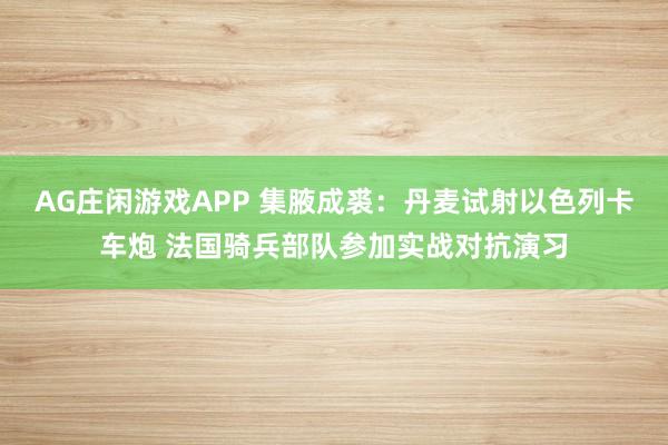 AG庄闲游戏APP 集腋成裘：丹麦试射以色列卡车炮 法国骑兵部队参加实战对抗演习