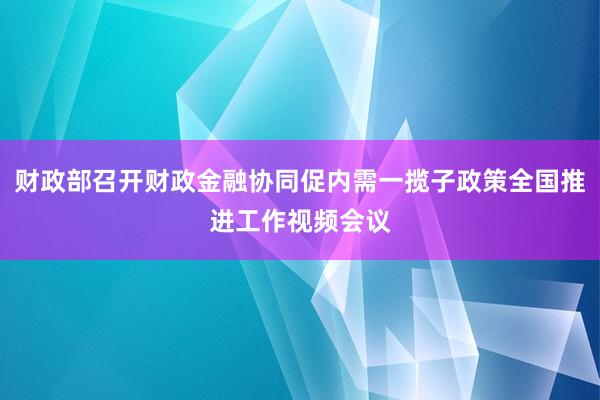 财政部召开财政金融协同促内需一揽子政策全国推进工作视频会议
