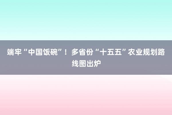 端牢“中国饭碗”！多省份“十五五”农业规划路线图出炉
