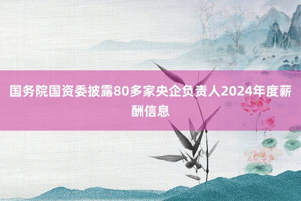 国务院国资委披露80多家央企负责人2024年度薪酬信息