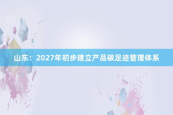 山东：2027年初步建立产品碳足迹管理体系