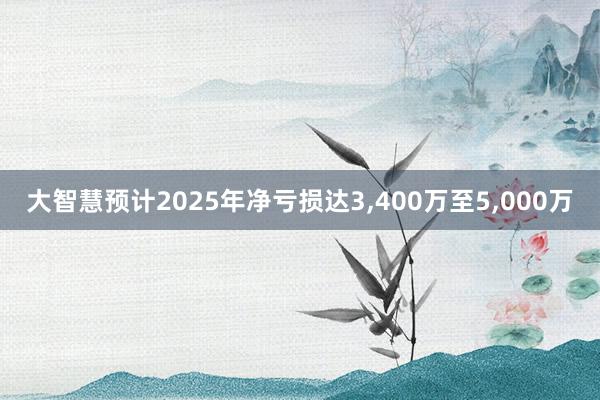 大智慧预计2025年净亏损达3,400万至5,000万