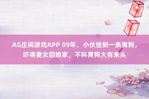 AG庄闲游戏APP 09年，小伙捡到一条黄狗，吓得妻女回娘家，不料黄狗大有来头