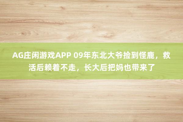 AG庄闲游戏APP 09年东北大爷捡到怪鹿，救活后赖着不走，长大后把妈也带来了
