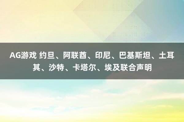 AG游戏 约旦、阿联酋、印尼、巴基斯坦、土耳其、沙特、卡塔尔、埃及联合声明