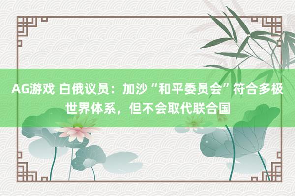 AG游戏 白俄议员：加沙“和平委员会”符合多极世界体系，但不会取代联合国