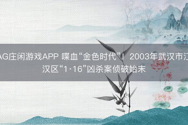 AG庄闲游戏APP 喋血“金色时代”！2003年武汉市江汉区“1·16”凶杀案侦破始末