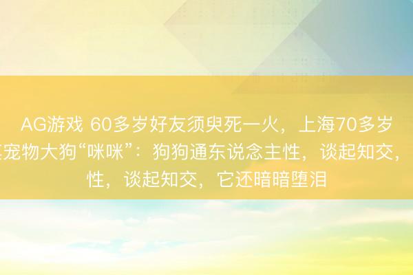 AG游戏 60多岁好友须臾死一火，上海70多岁老伯“遴选”其宠物大狗“咪咪”：狗狗通东说念主性，谈起知交，它还暗暗堕泪