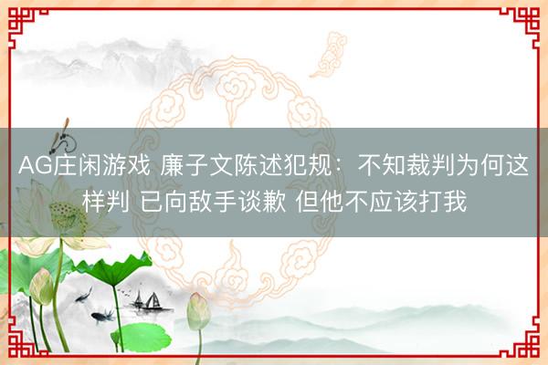 AG庄闲游戏 廉子文陈述犯规:不知裁判为何这样判 已向敌手谈歉 但他不应该打我
